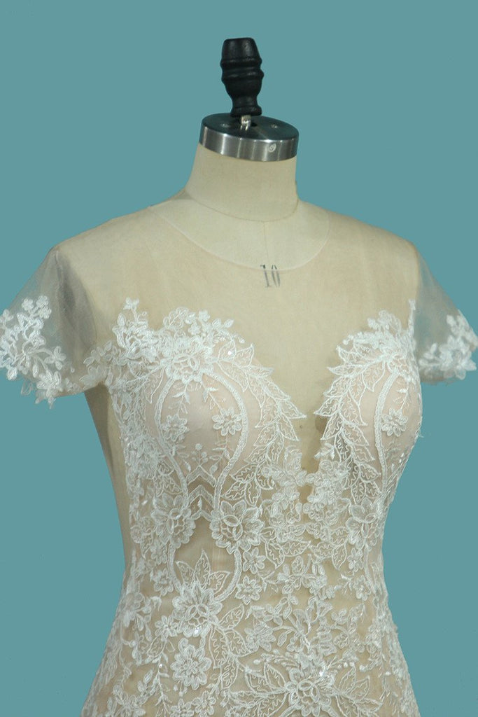 Scoop Short Sleeve Mermaid Tulle Lace Applique Wedding Dresses PDE76