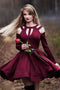 A Line Long Sleeves Short Burgundy Homecoming Dress PDN39