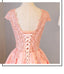 Blush Pink A Line Cap Sleeves Appliques Beaded Long Prom Dresses PDJ85