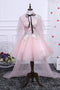 Pink A Line Tulle Spaghetti Straps Homecoming Dresses With Appliques PDN54