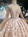Princess Long Sleeves Ball Gown Wedding Dresses, Floral Appliques Wedding Gown PDJ95