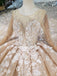 Princess Long Sleeves Ball Gown Wedding Dresses, Floral Appliques Wedding Gown PDJ95