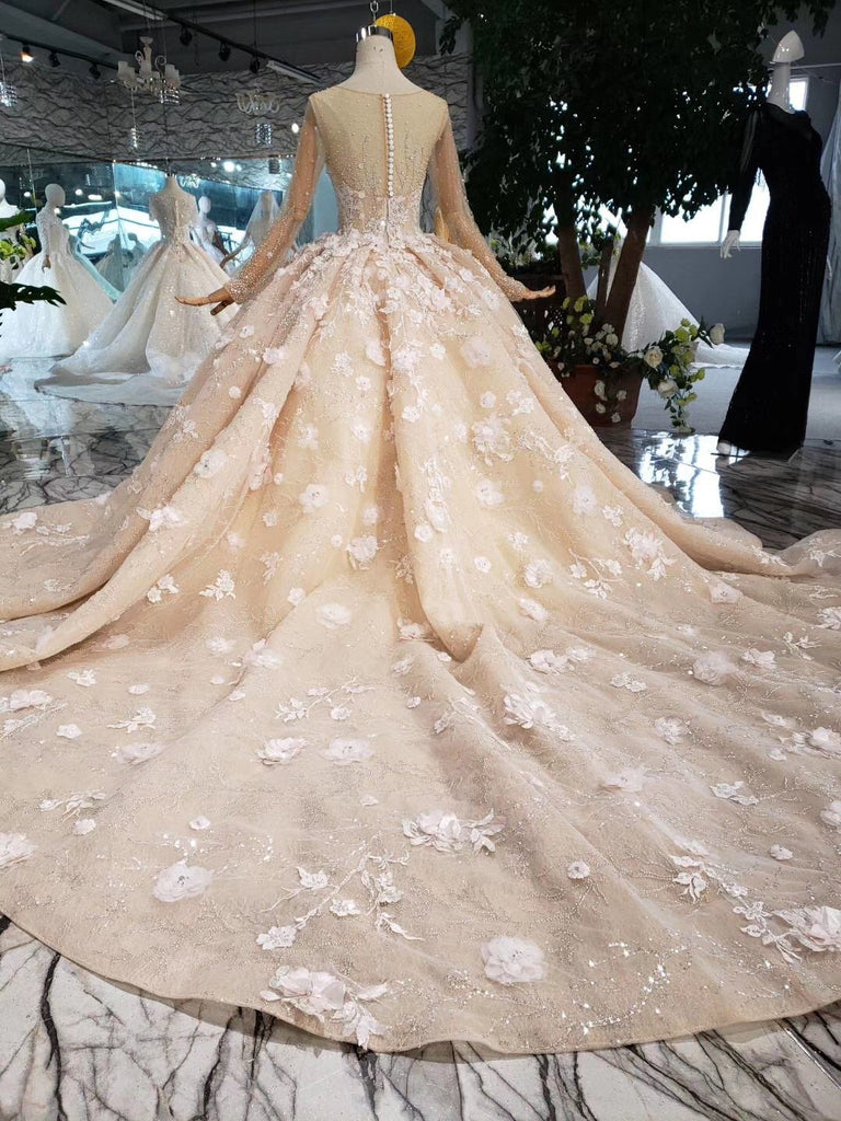 Princess Long Sleeves Ball Gown Wedding Dresses, Floral Appliques Wedding Gown PDJ95