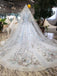 Stunning Light Blue Ball Gown Wedding Dresses, Quinceanera Dresses PDJ98