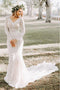 Mermaid V-Neck Backless Long Sleeves Lace Elegant Wedding Dress PDR35