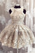 Unique Tulle Lace Applique Short Prom Dress, A Line Cute Homecoming Dress PDP43