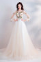 Pretty A Line Long Sleeves Tulle Appliques  Prom Dresses With Flowers PDG69