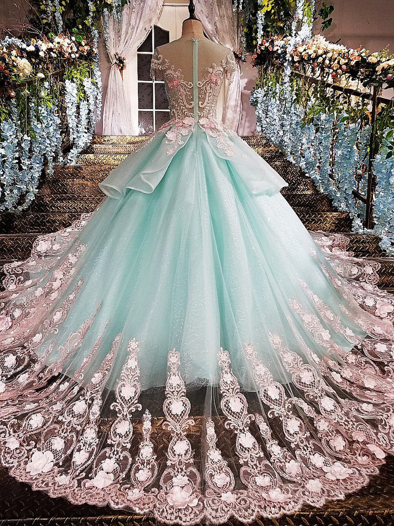 Princess Ball Gown Flower Appliques Prom Dress,Quinceanera Dresses PDE65