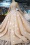 Princess Long Sleeves Ball Gown Wedding Dresses, Floral Appliques Wedding Gown PDJ95