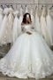 Gorgeous Ball Gown Lace Appliques Wedding Dress With Long Sleeves, Tulle Bridal Gown OW0106