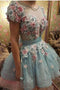 A Line Short Sleeves Homecoming Dresses, Princess Short Prom Dress With Flowers PPD52